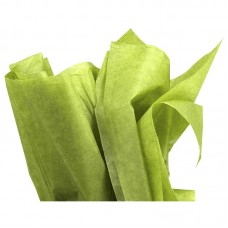 Silkespapper lime 50x75 cm (240-pack)